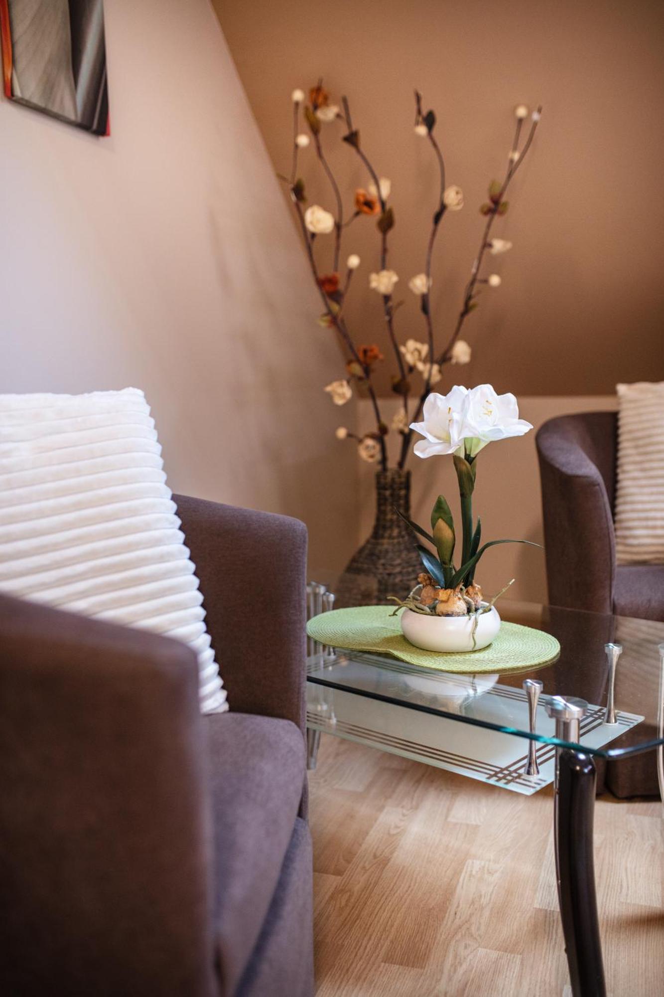 Delfin Apartman Sarvar Exterior photo